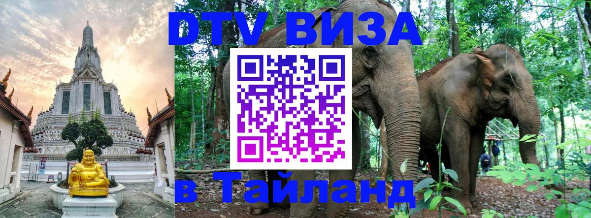 Оформление DTV визы под ключ: стоимость и тарифы, только загранпаспорт - 20.11.2025 